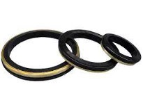 Elastomers Seals – Elastomer Rubber Seals (NBR/EPDM/Viton) for Industrial Sealing, Flexible Compression, Reliable Leak Proof Performance, Full Size Range